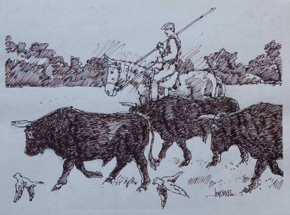 Carlos Enrique Lencinas Gómez. Ink on paper. “Cattle rancher on horseback and bulls”. Hand-signed. 30x40 cm.