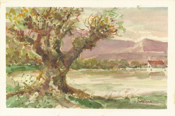 Carlos Enrique Lencinas Gómez. Watercolor on paper. “Tree and rural landscape”. Hand-signed. 19 x 28 cm. Mounted on foam board.