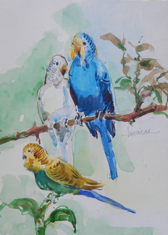 Carlos Enrique Lencinas Gómez. Watercolor on paper. “Three parakeets and a branch”. Hand-signed. Mounted on foam board. 34 x 25 cm.